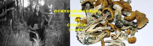 СК Алексеевка